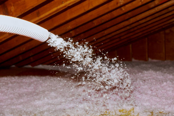 Best Garage Insulation Installation  in Aust, IN