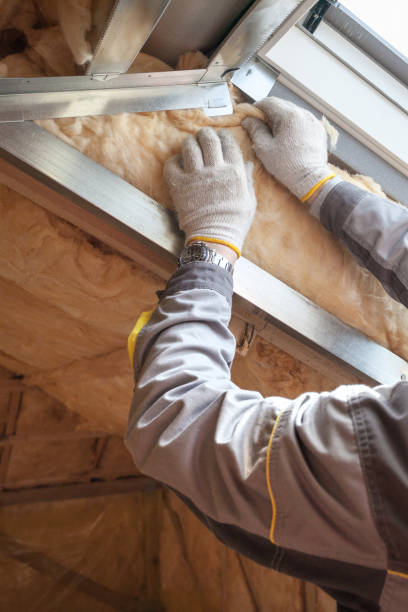 Best Spray Foam Insulation  in Aust, IN