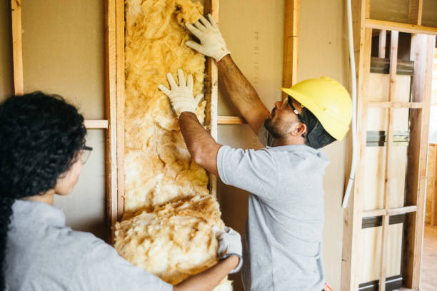 Best Wall Insulation Contractor  in Aust, IN