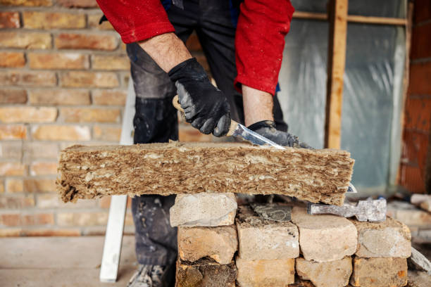 Best Insulation Replacement Services  in Aust, IN