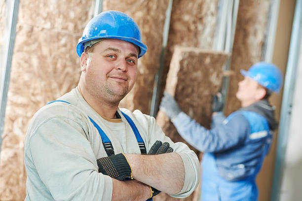 Best Insulation Removal  in Aust, IN