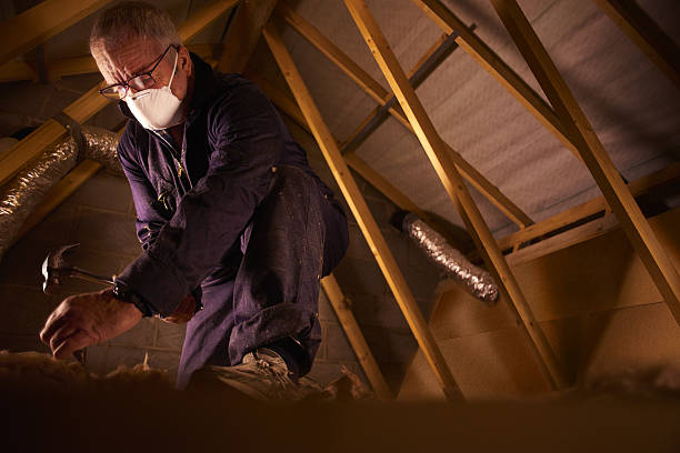Best Insulation Inspection Services  in Aust, IN